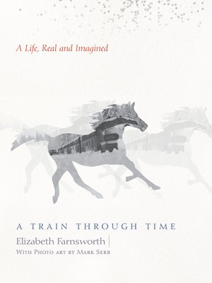 cover image of A Train through Time